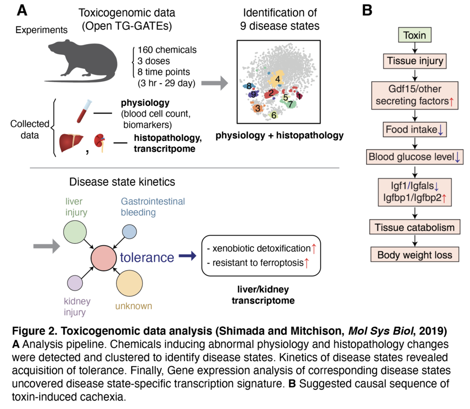 fig2 tox